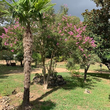 Residence Emilia Santa-Maria-Poggio  المظهر الخارجي الصورة