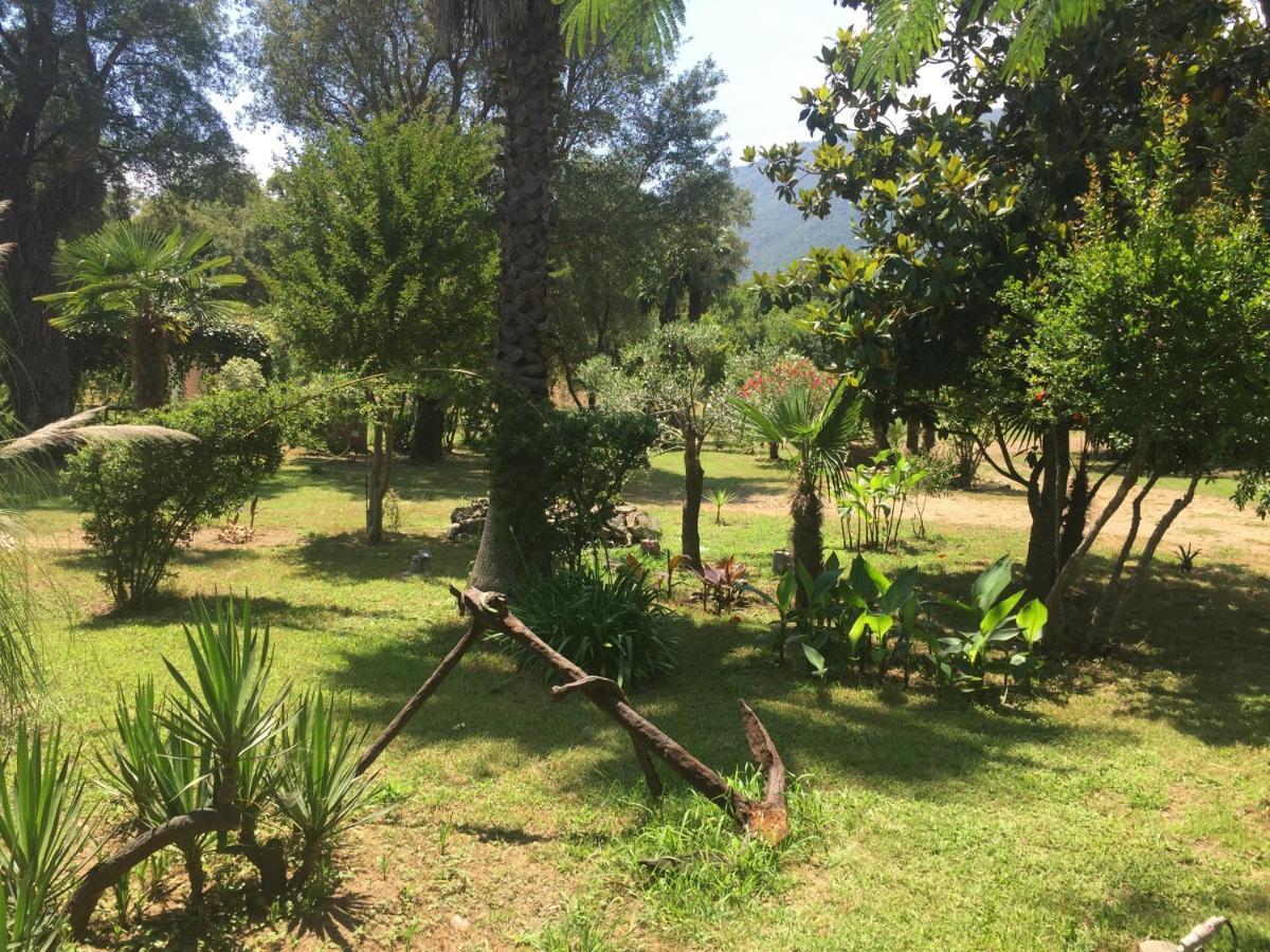 Residence Emilia Santa-Maria-Poggio  المظهر الخارجي الصورة