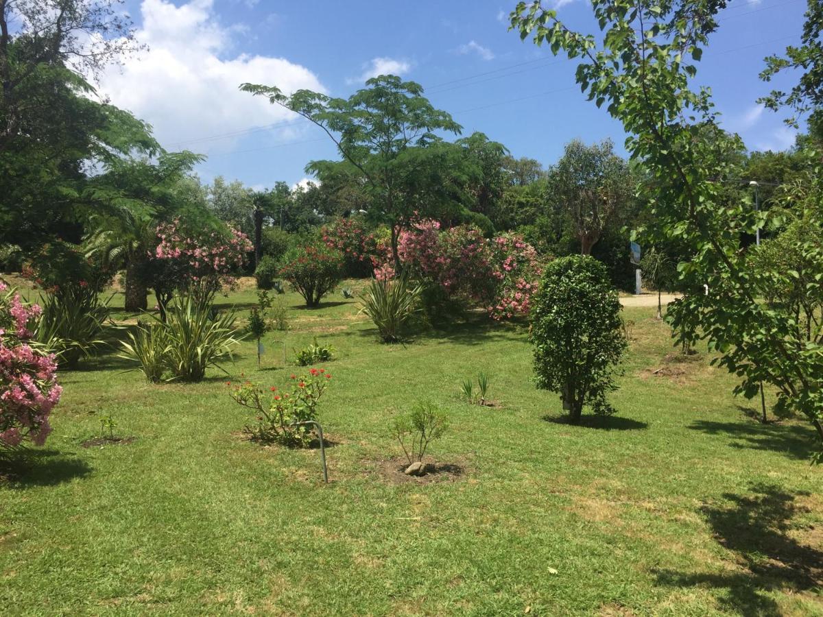 Residence Emilia Santa-Maria-Poggio  المظهر الخارجي الصورة