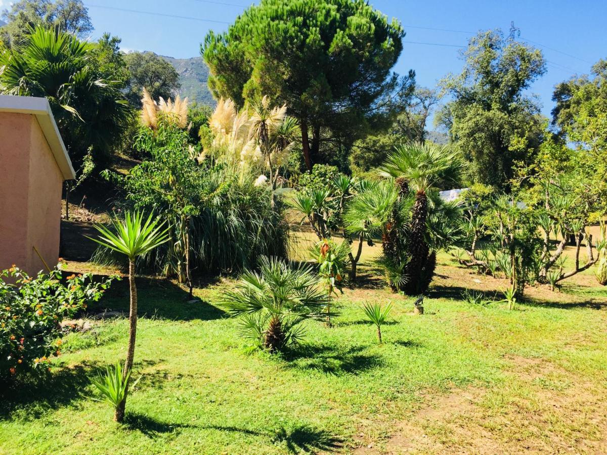 Residence Emilia Santa-Maria-Poggio  المظهر الخارجي الصورة