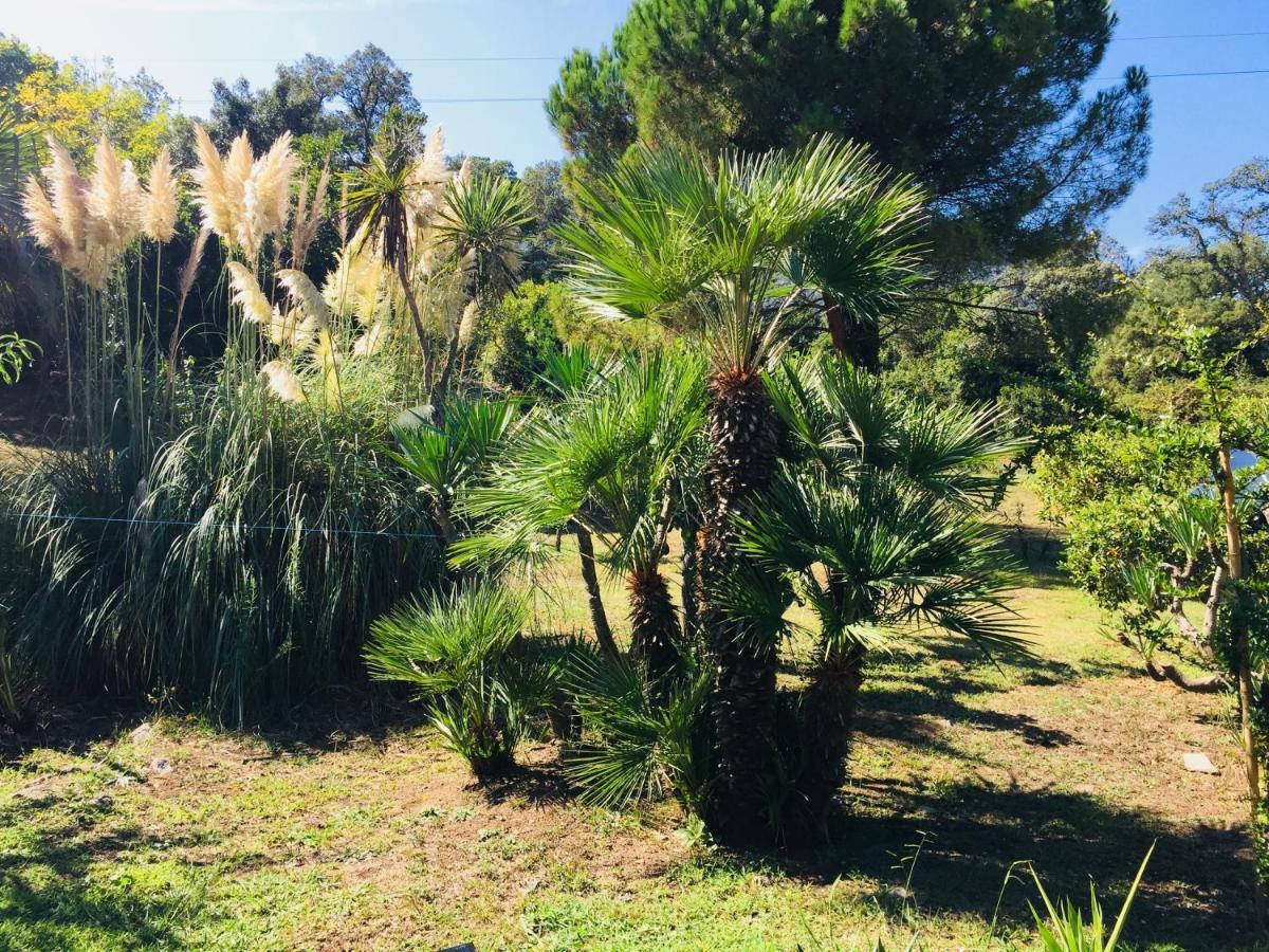 Residence Emilia Santa-Maria-Poggio  المظهر الخارجي الصورة