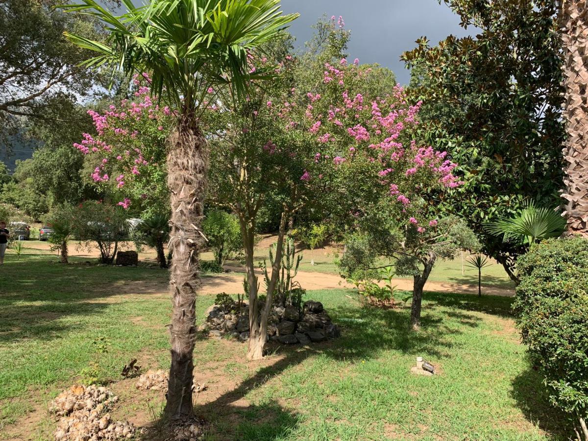 Residence Emilia Santa-Maria-Poggio  المظهر الخارجي الصورة
