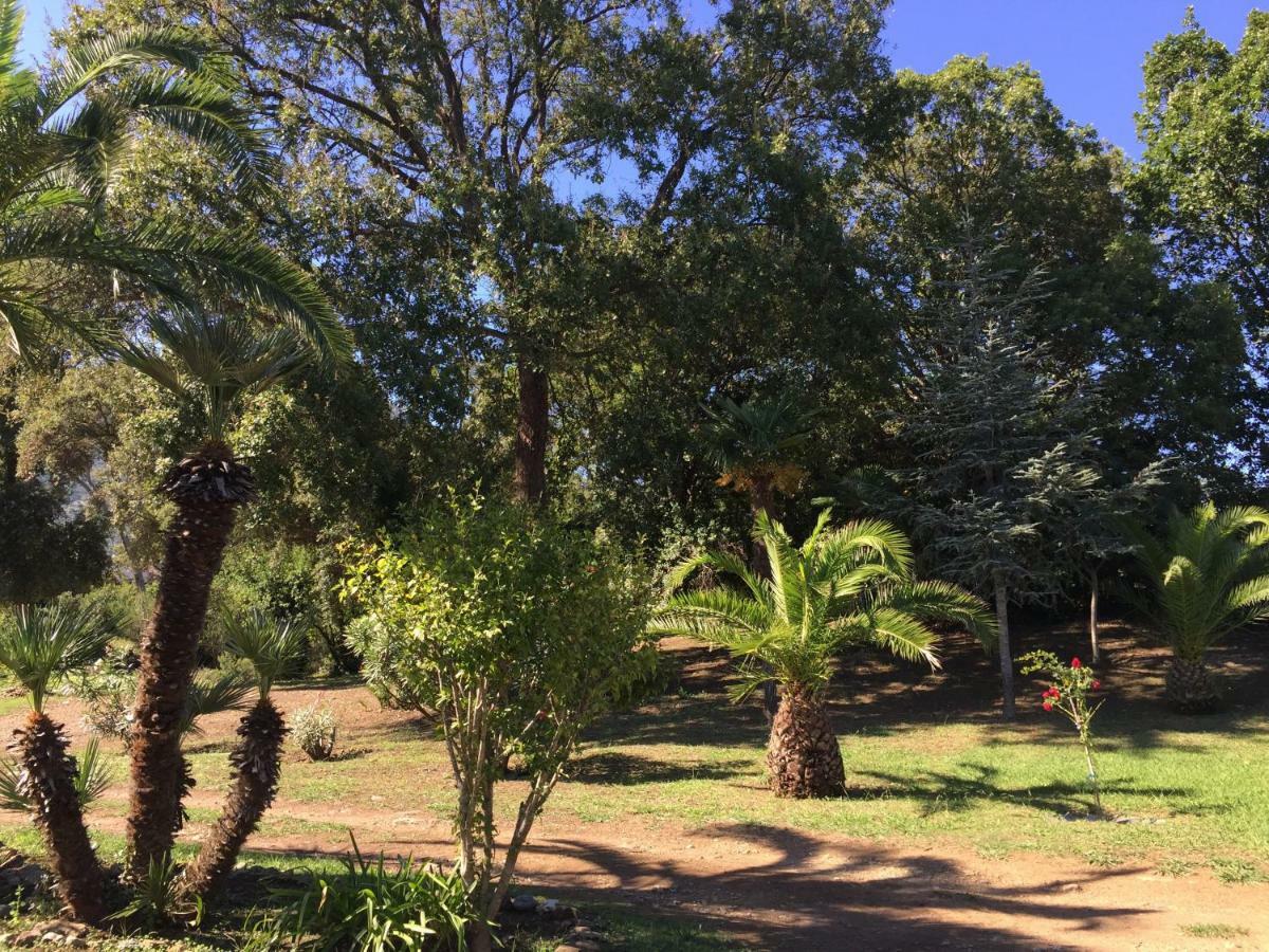 Residence Emilia Santa-Maria-Poggio  المظهر الخارجي الصورة