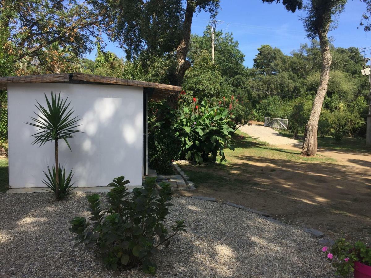 Residence Emilia Santa-Maria-Poggio  المظهر الخارجي الصورة