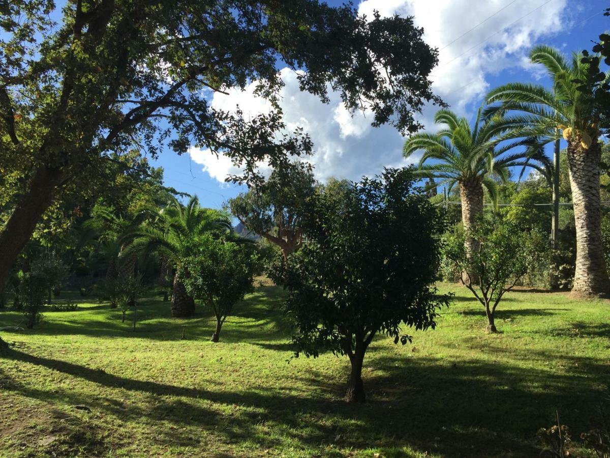 Residence Emilia Santa-Maria-Poggio  المظهر الخارجي الصورة
