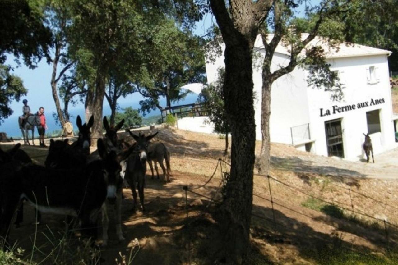 Residence Emilia Santa-Maria-Poggio  المظهر الخارجي الصورة